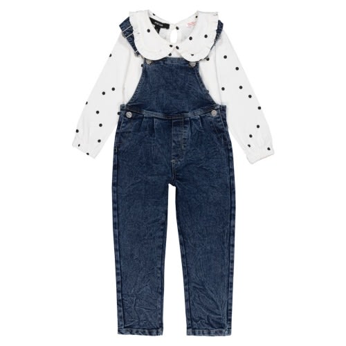 Long Sleeve Top & Overalls Set, 18M