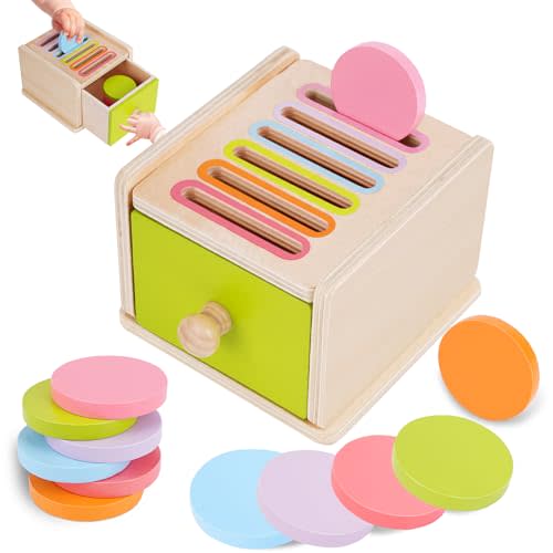 FCSONU Toddlers Montessori Coin Box Toys for 1 2 3 Year Old, Wooden Baby Toys for Toddlers 1-3, Color Sorting & Stacking Sensory Toys for Ages 2-4 Kids, Easter Birthday for Boys Girls