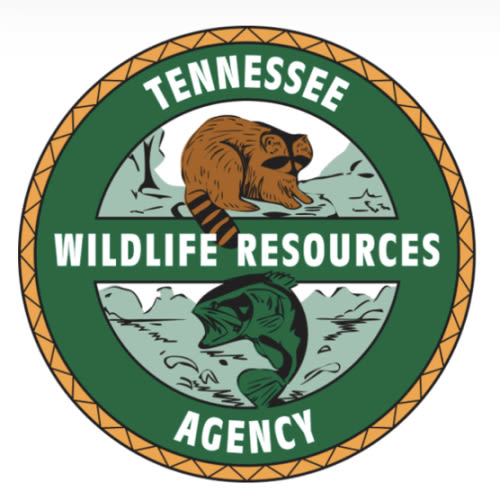 Lifetime Fishing & Hunting license