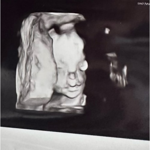 Baby Potts Venmo Cash Fund