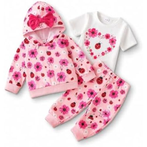 Baby Girl Clothes 3 Piece Outfit Hoodie Tee Pants Bow Floral Butterfly 0 6 12 18 24 Months 2T
