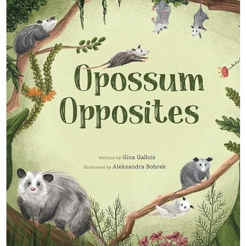Opossum Opposites Hardcover – March 3, 2020