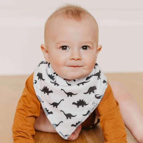 Baby Bandana Bibs - Wild