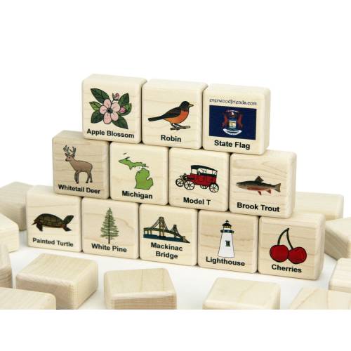 Michigan Memory Game: 24 Solid Maple Blocks, State Symbols Matching Set for Kids American Geography Educational Toy Gift, Made in USA