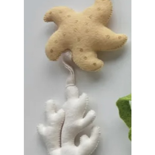 Starfish & Coral
