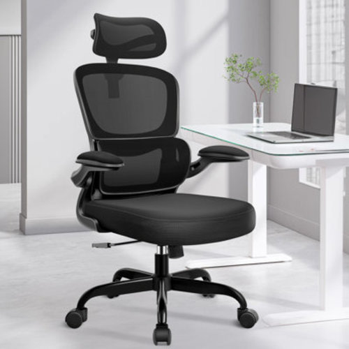 Inbox Zero Lidwien Ergonomic Breathable Mesh Office Chair with Adjustable Headrest and Flip-Up Arms & Reviews | Wayfair