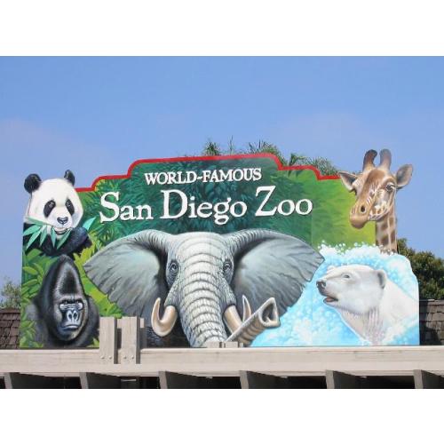A Year at San Diego Zoo