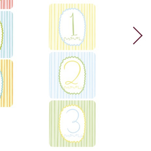 Bette Set Milestone Cards — Low & Co. Studio