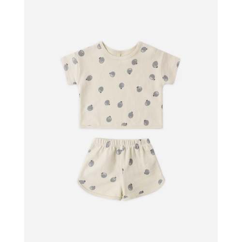 Spongy Play Set Blueberries