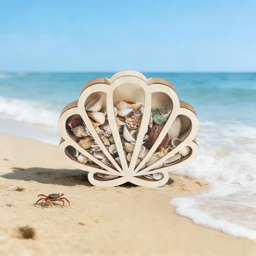 Seashell Display Box Seashell Holder with Acrylic Panel Storage Box for Shells Sea Glass Small Starfish Shark Tooth Seashell Collection Box Home Decor Christmas Gift Birthday Present