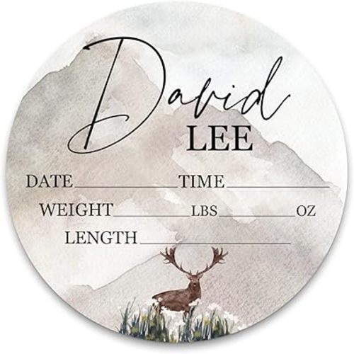 Birth Stat Sign Personalized for Newborn Baby, Woodland Deer Design, Crib & Nursery Decor, Photography Prop, Baby Shower Gifts, Gender Reveal, Pregnancy Announcement, Hickory Hollow Designs