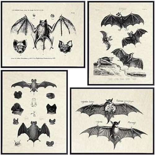 Bats Wall Decor - Vintage Retro Hipster Goth Art, Home or Room Decoration - Gift for Gothic, Horror, Vampire Fans - 8x10 UNFRAMED Creepy Scary Anatomical Picture Poster Print Set