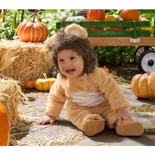 Baby Lion Halloween Costume