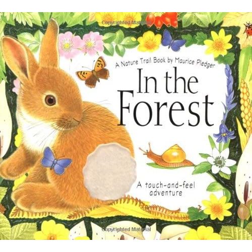 In the Forest: A Nature Trail Book (Maurice Pledger Nature Trails)