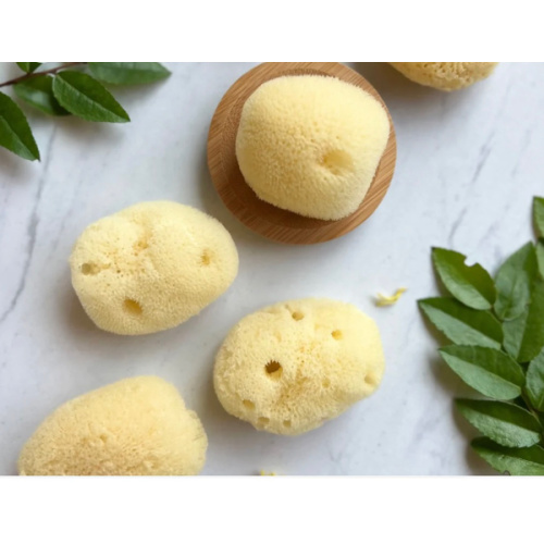 SILK FACIAL SEA SPONGE - PHILIPPINES