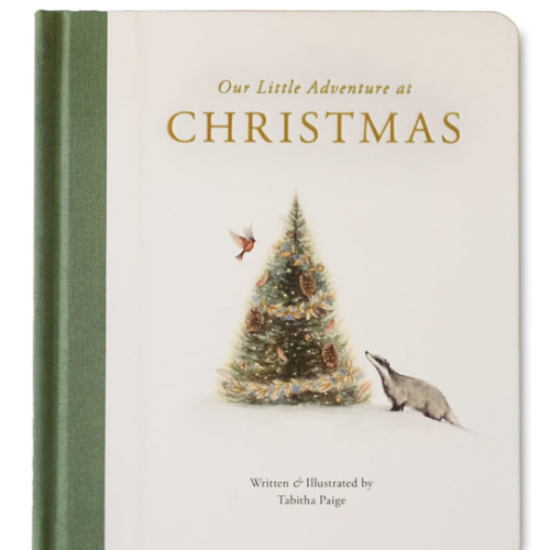 Our Little Adventure at Christmas: Featuring Foundational Language Concepts and Lessons on the Joy of Giving (Tabitha Paige Children's Book Series)