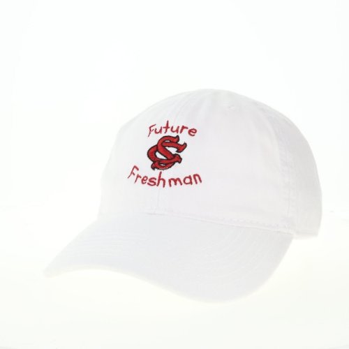 Youth LEGACY wht South Carolina Gamecocks Toddler Future Freshman EZA
