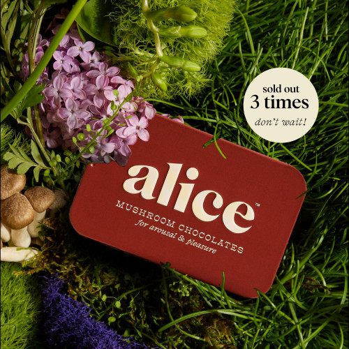 Mushroom Chocolates for Energetic Days & Restful Nights – alice mushrooms