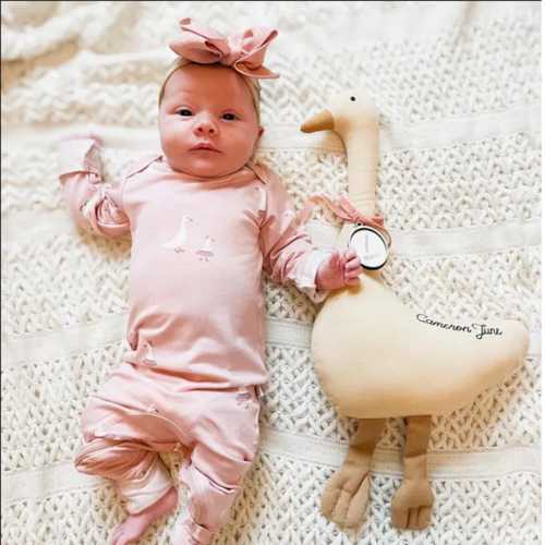 Baby Milestone Marker Monthly Photo Prop Plush Goose Toy Infant Growth Tracker Newborn Age Disc Customizable Month Indicator Nursery Picture