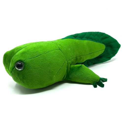 Plush green tadpole plush animal