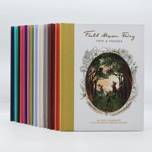 Book Series Bundle