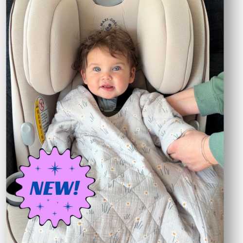 Car Seat Blankies – Buckle Me Baby
