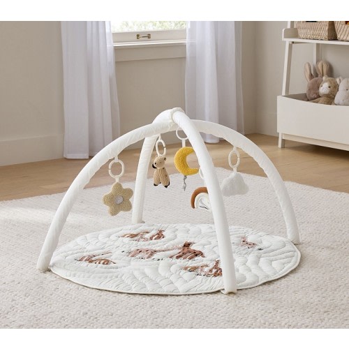 Goldie Giraffe Activity Gym