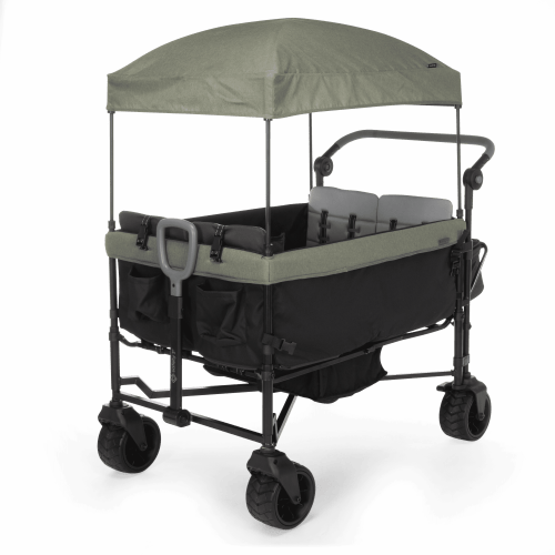 Safety 1st Summit Sprint Quad Wagon Stroller