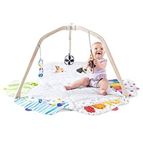 Amazon.com : The Play Gym by Lovevery | Stage-Based Developmental Activity Gym & Play Mat for Baby to Toddler : Baby