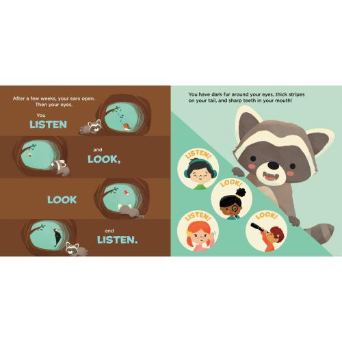 You Are a Raccoon! by Laurie Ann Thompson, Jay Fleck