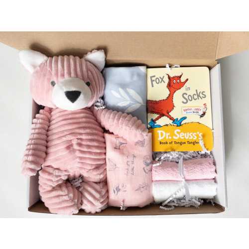 Baby Girl Fox Gift Set: Bodysuits, Pink Fox Stuffed Toy & Board Book