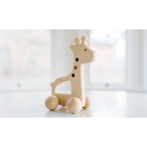 Giraffe Push Toy by Bannor Toys