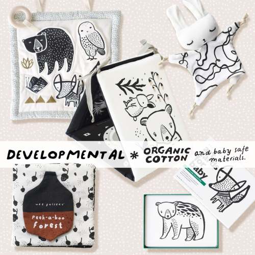 Developmental Bundle for Baby - Woodland
