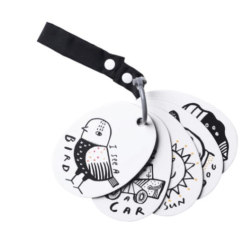 Stroller Cards for Exploring on Walks – OMAMImini