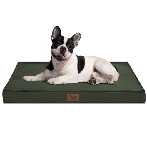 Tail Stories Outdoor All Weather Dog Bed, Waterproof Dog Bed for Medium Dogs, Orthopedic Egg Foam Pet Bed with Removable Cooling Cover, Dark Green