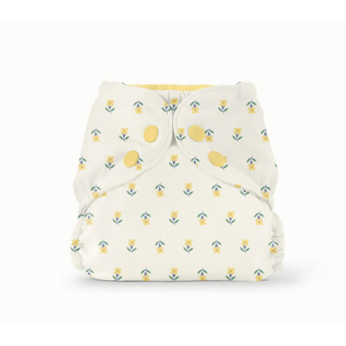 Outer–FW Buds / One