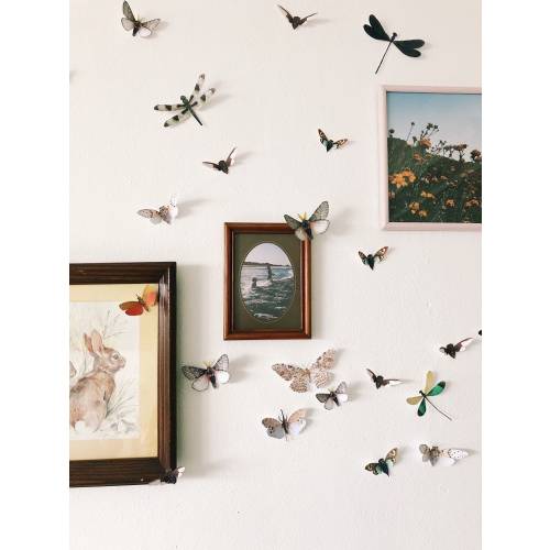 Paper bug display playful Home Decor