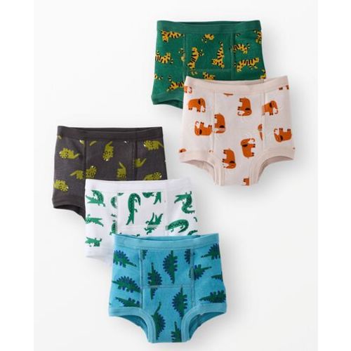 5-Pack Organic Cotton Training Underwear