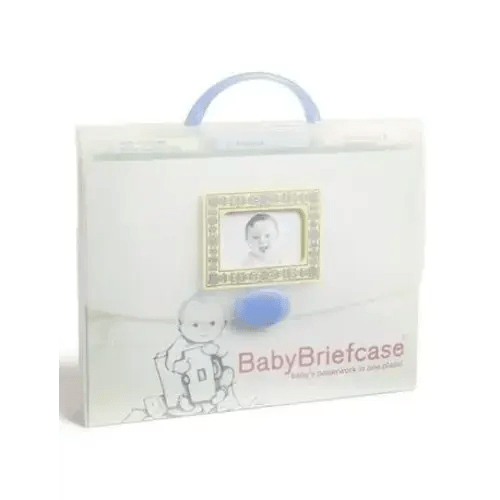 BabyBriefcase® Document Organizer | Nordstrom