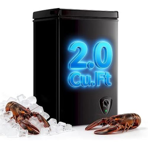 2.0 Cu.Ft Mini Deep Freezer Small Freezer with 7 Temp Black for Dorm