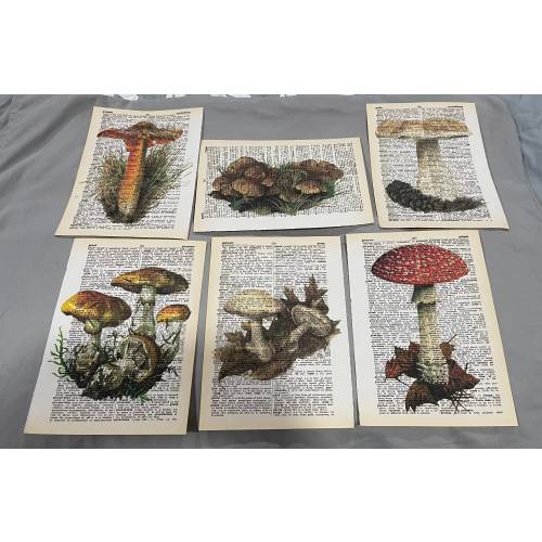 Mushroom Themed dictionary prints