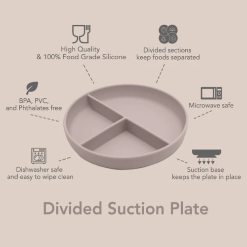Divided Suction Plate | Snuggle Bugz | Canada's Baby Store