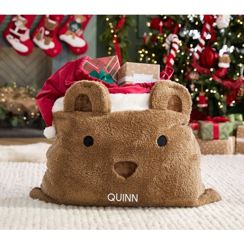 Teddy Bear Santa Bag