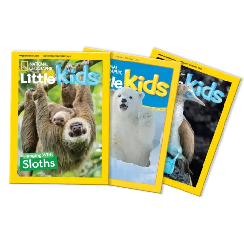 Subscribe to National Geographic Little Kids