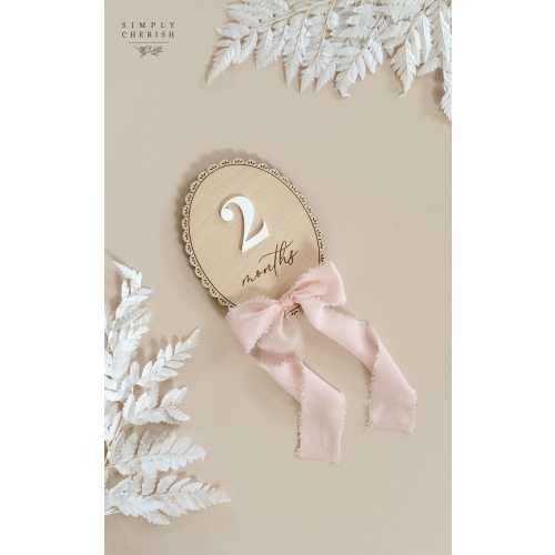 Baby Monthly Milestone Sign with Ribbon Bow, Reversible Month and Months, Nursery Photo Prop, Baby Shower Gift