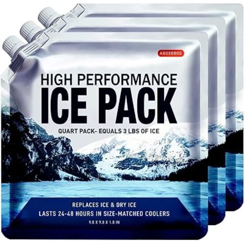 Reusable Ice Packs for Coolers Long Lasting Gel Freezer Packs for Lunch Bags Cooler Backpack Lunch Box, Keeps Food Cold Fresh (9.8"x9.8"x3P)