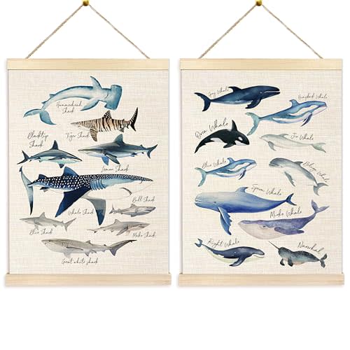 Ecezatik Whale Wall Art Set of 2, Whale Posters, Hanging Wall Art Decor for Classroom, Nursery, Kids Room, Playroom, Beach, Ocean Room Decor, 12x16 Inch