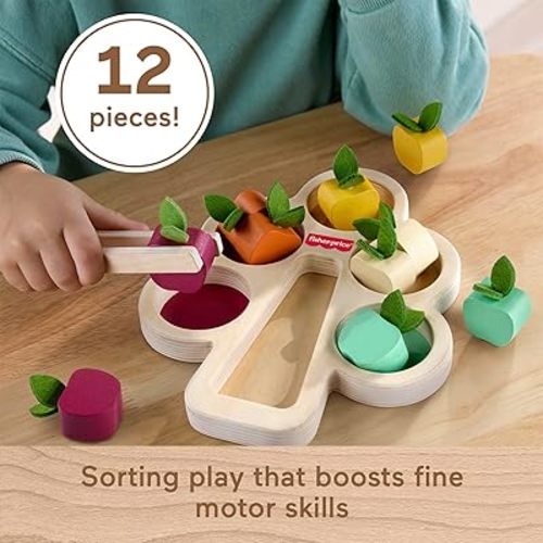Wood Montessori Toy Sorting Tree