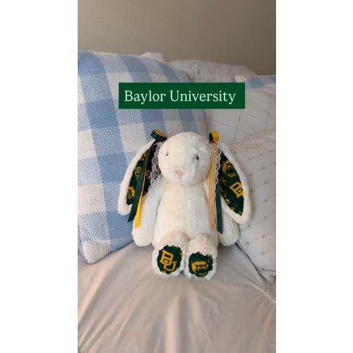 College Cats Bear Jellycat - Bear Jellycat