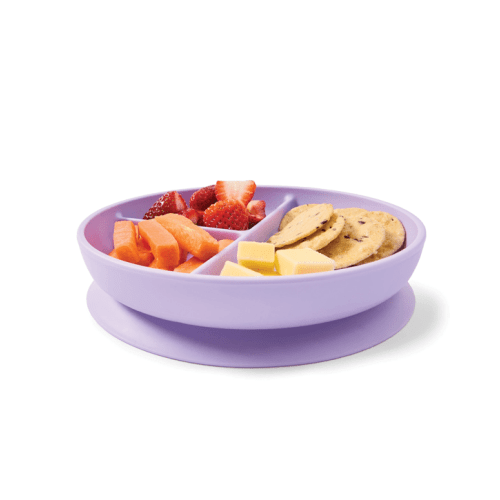 Suction Divided Plate - Assorted